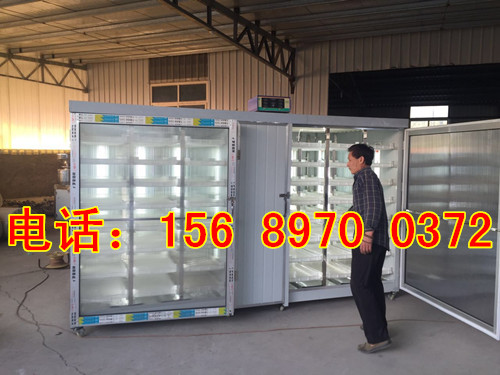 科華全自動香椿苗機器