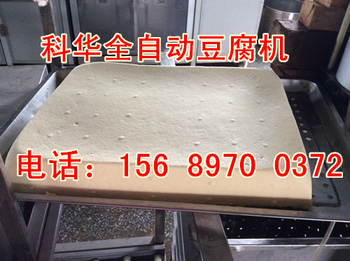 小型豆腐機器產品