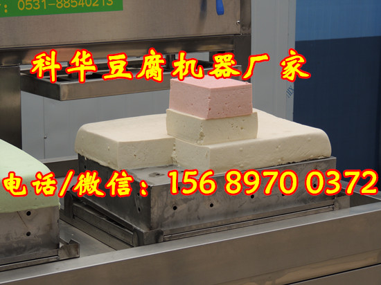 全自動(dòng)豆腐機(jī)器廠家