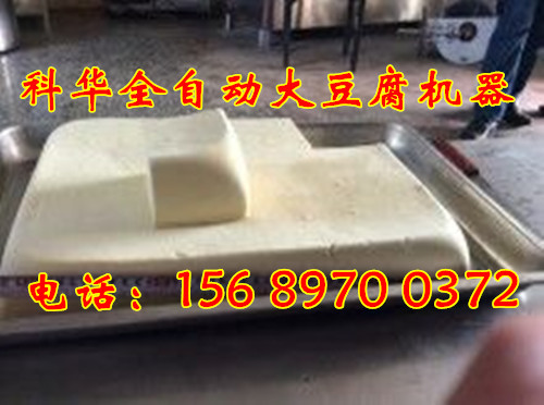 全自動(dòng)豆腐機(jī)械設(shè)備