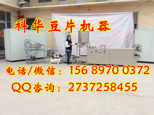 小型全自動豆片機械設備