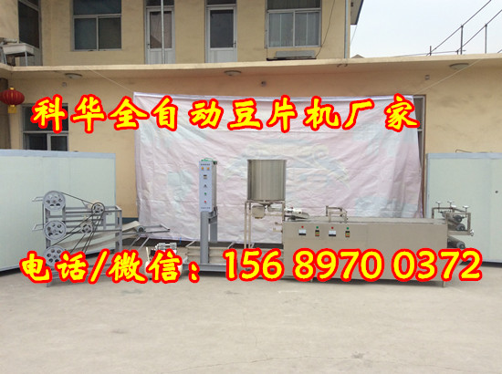 全自動豆片機器廠家
