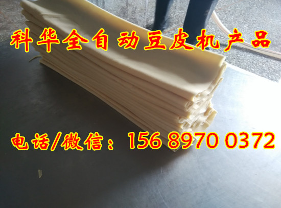 全自動豆片機器價格