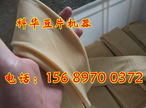 小型全自動豆片機廠家