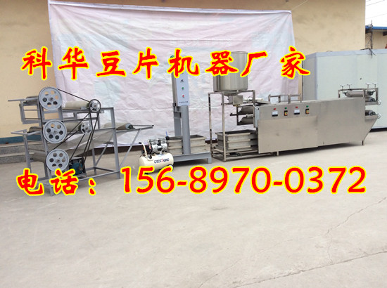全自動(dòng)豆片機(jī)器廠家