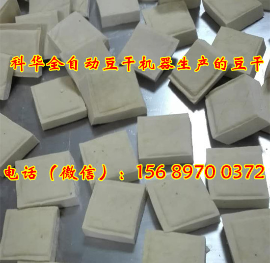 全自動豆干機械設備