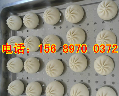全自動(dòng)包子機(jī)器產(chǎn)品