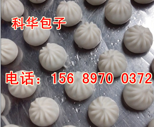 包子鋪專用包子機(jī)器