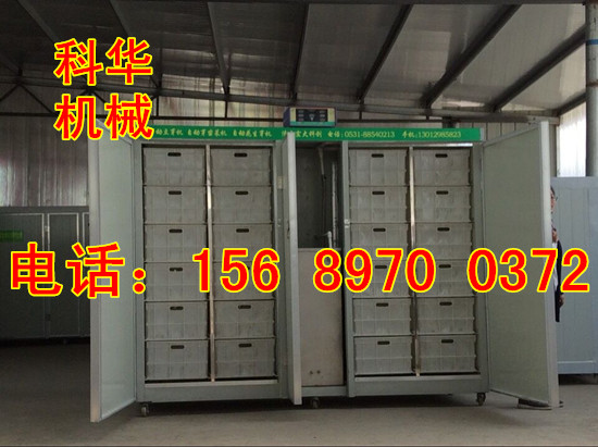全自動豆芽機廠家