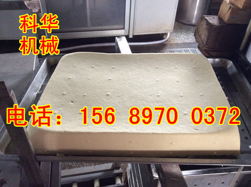 全自動豆腐機器廠家