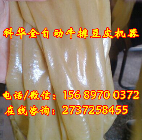 全自動蛋白肉機器價格
