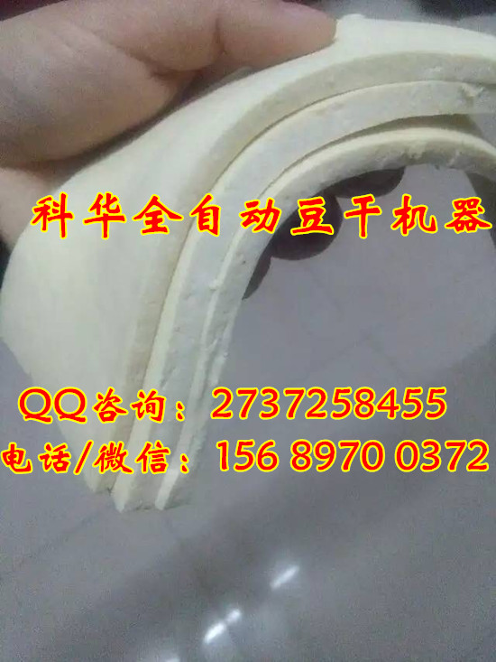 全自動豆腐干機器生產廠家