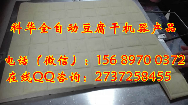 小型全自動豆腐干機廠家
