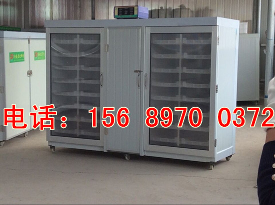 全自動(dòng)芽苗菜機(jī)械設(shè)備