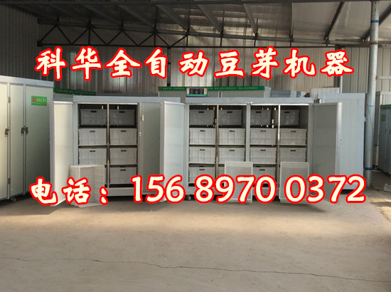 大型全自動豆芽機械設備價格