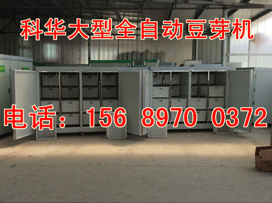 大型豆芽生長機器