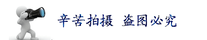 18372205900