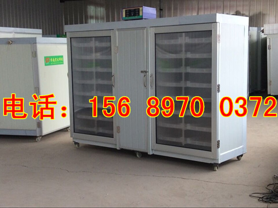全自動芽苗菜機械設備多少錢