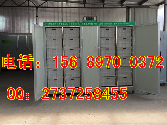 小型全自動豆芽機器廠家