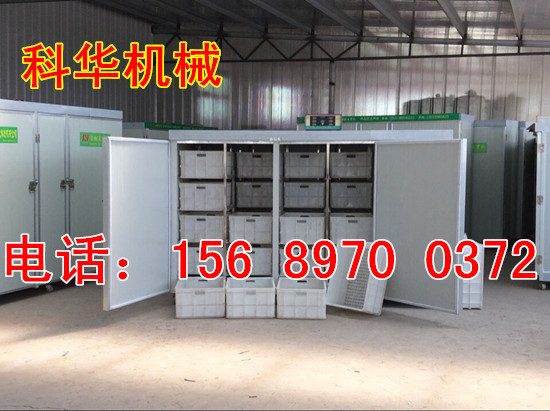 大型全自動豆芽機器
