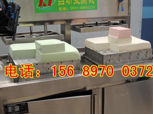 全自動豆腐機械設備廠家