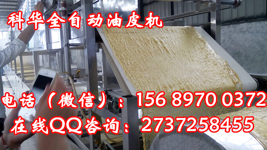 大型全自動腐竹機械設備價格