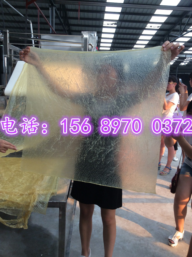 全自動(dòng)豆油皮機(jī)器