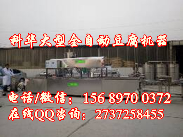 大型全自動豆腐機器價格