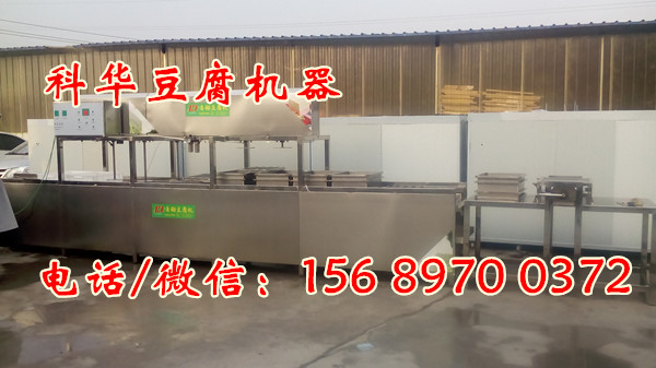 大型豆腐機械設備生產線