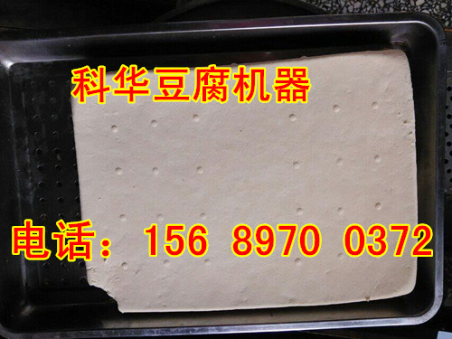 全自動豆腐加工機械設備