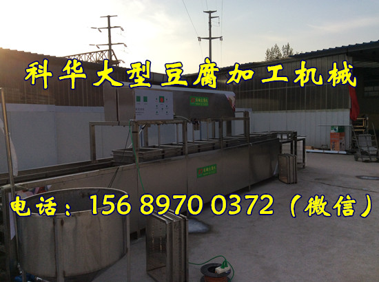 全自動豆腐機器生產線