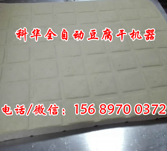 仿手工豆腐干機器價格