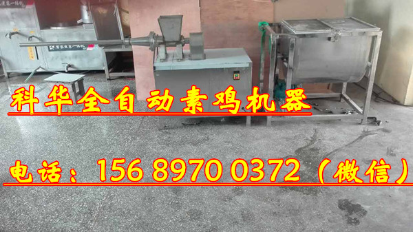 全自動素雞機(jī)器生產(chǎn)廠家