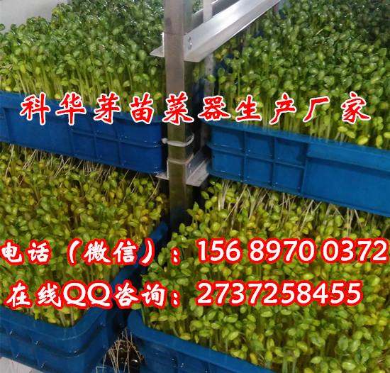 全自動芽苗菜機械設備價格