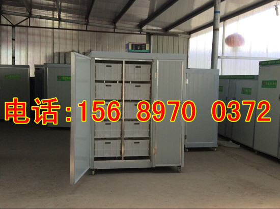 小型全自動豆芽機器