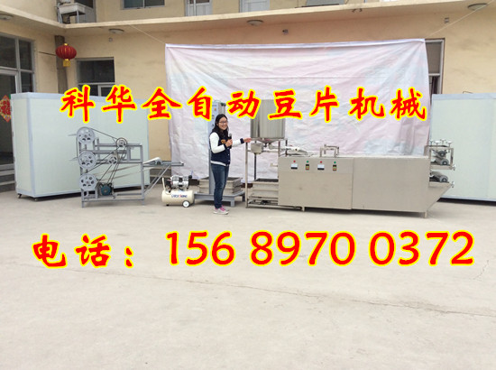 小型全自動豆片機器