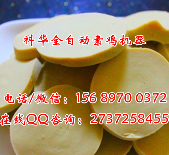 小型全自動素雞機(jī)器廠家
