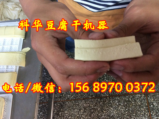 全自動豆干機械設備廠家