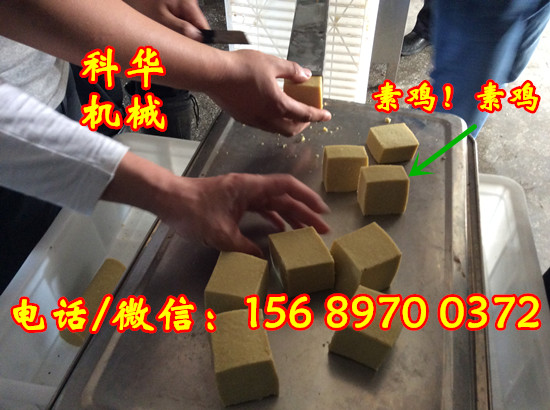 全自動素雞機器價格