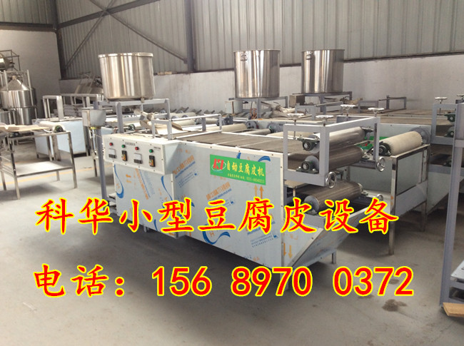 全自動豆腐皮機械設(shè)備