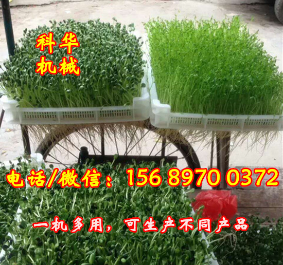全自動芽苗菜機器