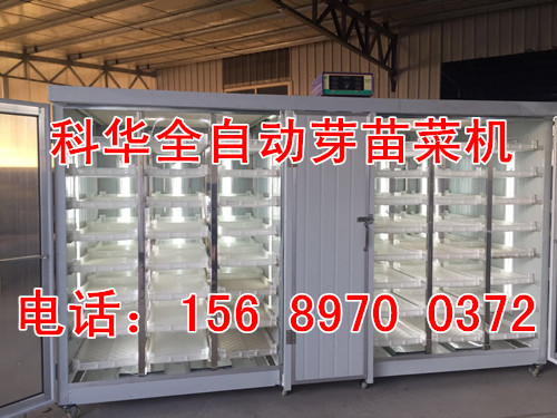 全自動豆苗機器