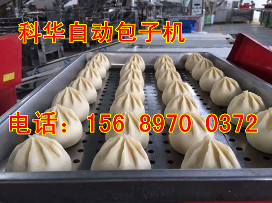 包子鋪專用包子機