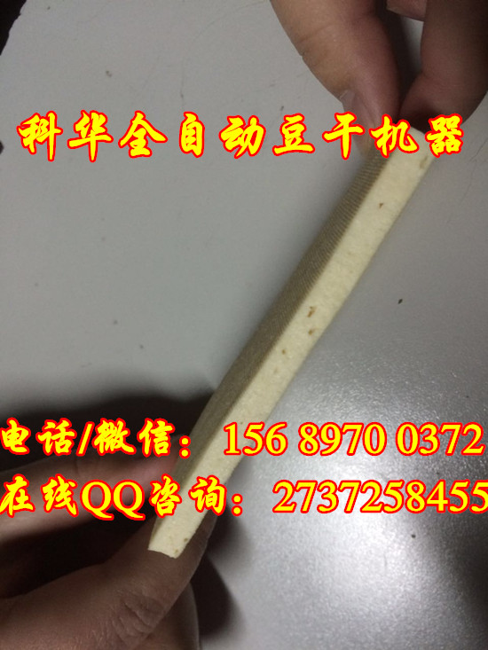 小型全自動(dòng)豆腐干機(jī)械設(shè)備