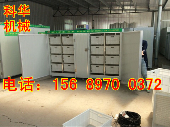 小型全自動豆芽機器