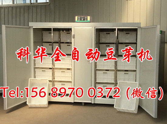 全自動(dòng)豆芽機(jī)器價(jià)格