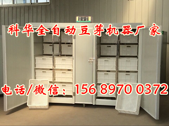 大型全自動豆芽機廠家