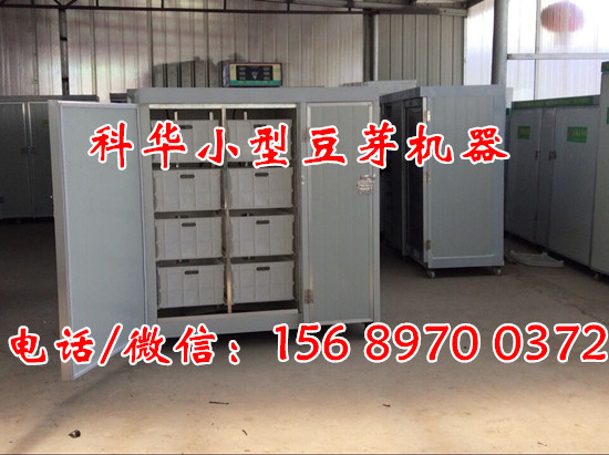 小型全自動豆芽機器