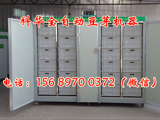 中型全自動豆芽機械設備