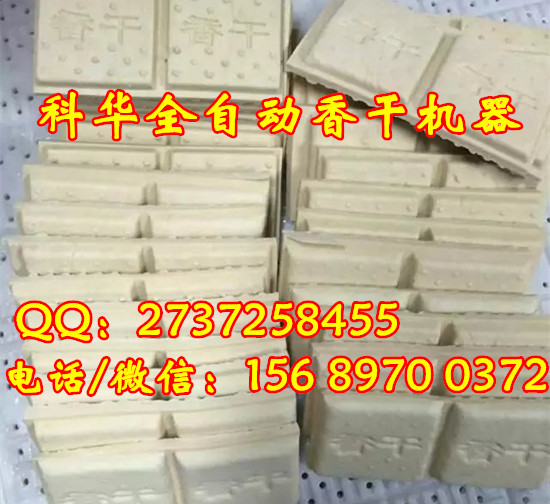 小型自動豆干機器廠家